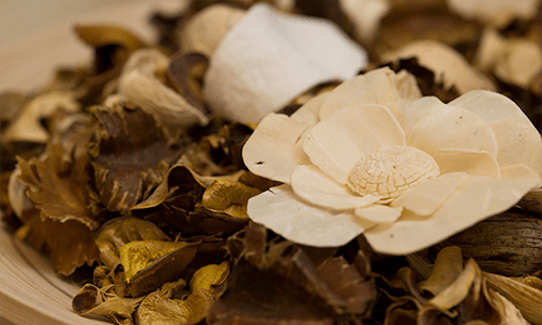 女性専用サロン