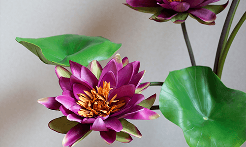 市川市妙典の癒しサロン